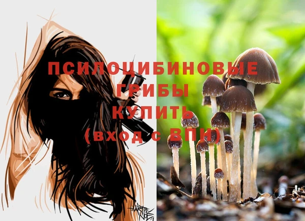 герыч Краснотурьинск