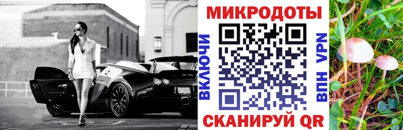 Псилоцибиновые грибы мицелий  Купить закладки  Купино 